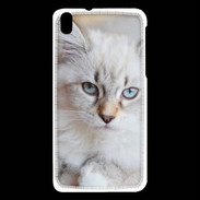 Coque HTC Desire 816 Chaton aux yeux bleus