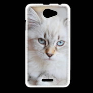 Coque HTC Desire 516 Chaton aux yeux bleus