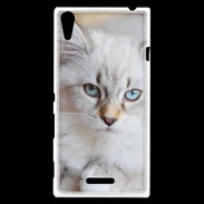 Coque Sony Xperia T3 Chaton aux yeux bleus
