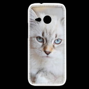 Coque HTC One Mini 2 Chaton aux yeux bleus