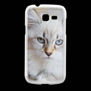 Coque Samsung Galaxy Fresh Chaton aux yeux bleus