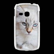 Coque Samsung Galaxy Young Chaton aux yeux bleus