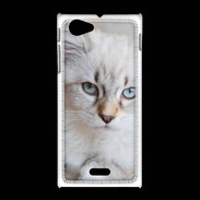 Coque Sony Xpéria J Chaton aux yeux bleus