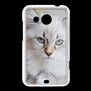 Coque HTC Desire 200 Chaton aux yeux bleus