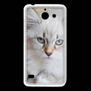 Coque Huawei Y550 Chaton aux yeux bleus
