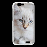 Coque Huawei Ascend G7 Chaton aux yeux bleus