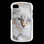 Coque Blackberry Q10 Chaton aux yeux bleus