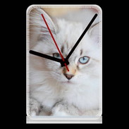 Pendule de bureau Chaton aux yeux bleus