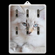 Porte clés Chaton aux yeux bleus