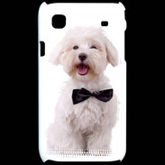 Coque Samsung Galaxy S Bichon avec noeud papillon