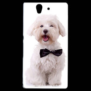 Coque Sony Xperia Z Bichon avec noeud papillon