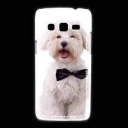 Coque Samsung Galaxy Express2 Bichon avec noeud papillon