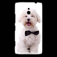 Coque Nokia Lumia 1320 Bichon avec noeud papillon