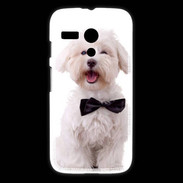 Coque Motorola G Bichon avec noeud papillon