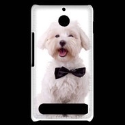 Coque Sony Xperia E1 Bichon avec noeud papillon