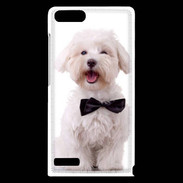 Coque Huawei Ascend G6 Bichon avec noeud papillon