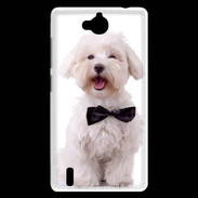 Coque Huawei Ascend G740 Bichon avec noeud papillon