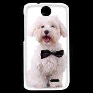 Coque HTC Desire 310 Bichon avec noeud papillon