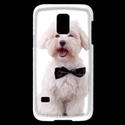 Coque Samsung Galaxy S5 Mini Bichon avec noeud papillon