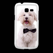 Coque Samsung Galaxy Fresh Bichon avec noeud papillon