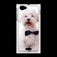 Coque Sony Xpéria J Bichon avec noeud papillon