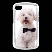 Coque Blackberry Q10 Bichon avec noeud papillon