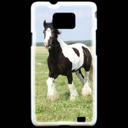 Coque Samsung Galaxy S2 Cheval noir et blanc 5