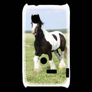 Coque Sony Xperia Typo Cheval noir et blanc 5