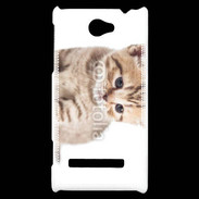 Coque HTC Windows Phone 8S Chaton 150