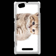 Coque Sony Xperia M Chaton 150