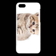 Coque iPhone 5C Chaton 150
