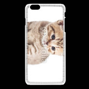 Coque iPhone 6Plus / 6Splus Chaton 150