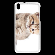 Coque HTC Desire 816 Chaton 150
