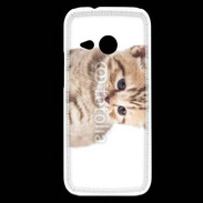 Coque HTC One Mini 2 Chaton 150