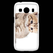 Coque Samsung Galaxy Ace4 Chaton 150