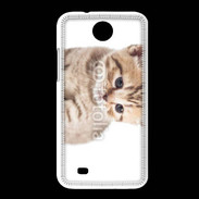 Coque HTC Desire 300 Chaton 150
