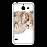 Coque Huawei Y550 Chaton 150