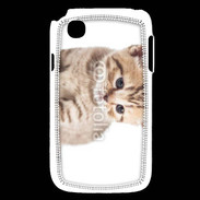 Coque LG L40 Chaton 150