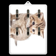 Porte clés Chaton 150