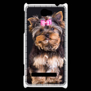 Coque HTC Windows Phone 8S Chien Yorkshire 2