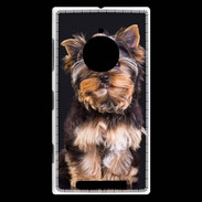 Coque Nokia Lumia 830 Chien Yorkshire 2