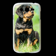 Coque Samsung Galaxy Grand Chiot Rottweiler 1