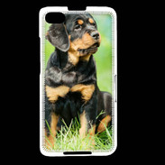 Coque Blackberry Z30 Chiot Rottweiler 1