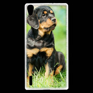 Coque Huawei Ascend P7 Chiot Rottweiler 1