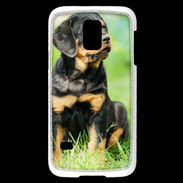Coque Samsung Galaxy S5 Mini Chiot Rottweiler 1