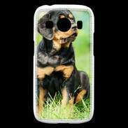 Coque Samsung Galaxy Ace4 Chiot Rottweiler 1