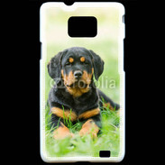 Coque Samsung Galaxy S2 Chiot Rottweiler 2