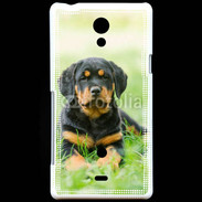 Coque Sony Xperia T Chiot Rottweiler 2