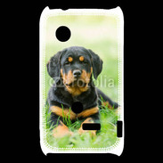 Coque Sony Xperia Typo Chiot Rottweiler 2