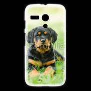 Coque Motorola G Chiot Rottweiler 2